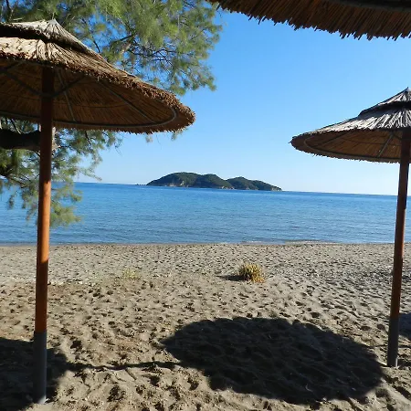 Turtle's Nest 3* Vasilikí