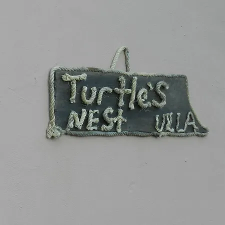 Turtle's Nest Vasilikí