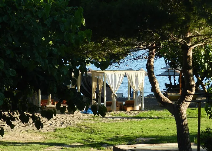 Turtle's Nest Maison d'hôtes Vasilikí
