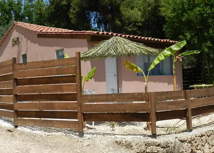 Turtle's Nest
