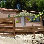Turtle's Nest