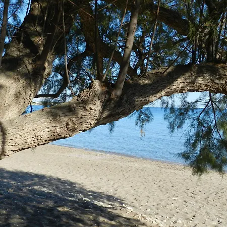 Turtle's Nest 3*