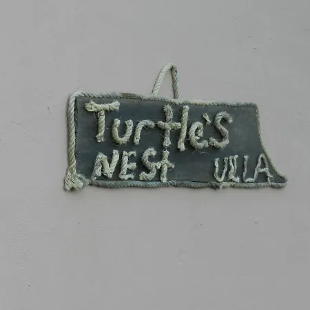 Turtle's Nest Vasilikos (Zakynthos)