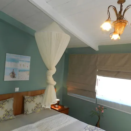 Turtle's Nest Vasilikos (Zakynthos)