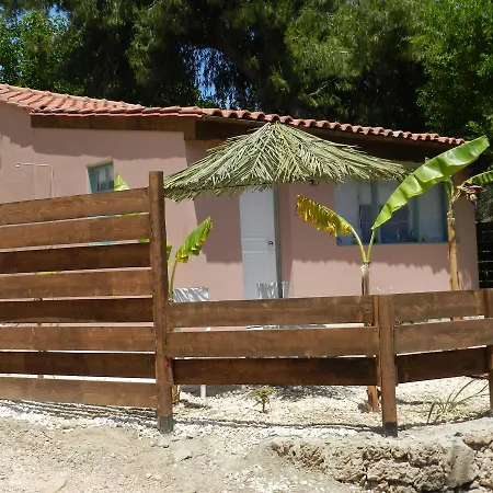 Turtle's Nest