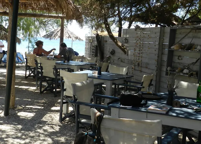 Affittacamere Turtle's Nest