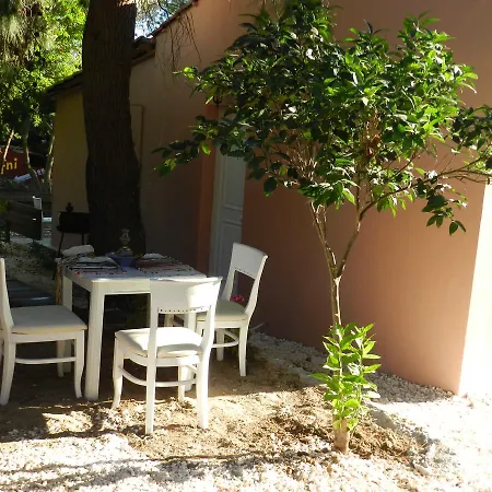 בית הארחה Turtle's Nest 3*