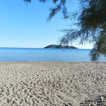 Turtle's Nest בית הארחה Vasilikí