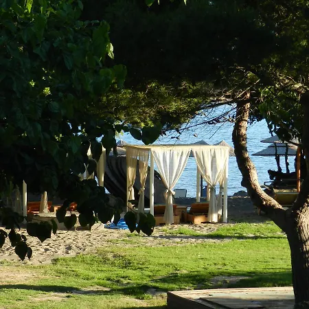 Turtle's Nest בית הארחה Vasilikí