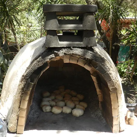 Turtle's Nest בית הארחה