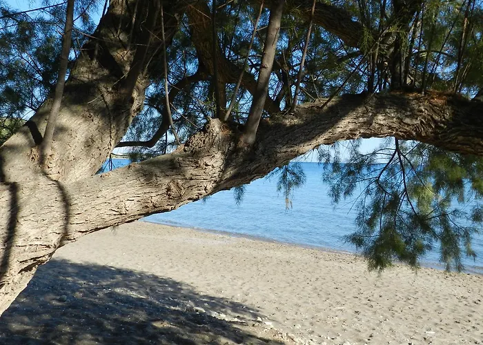 Turtle's Nest 3*