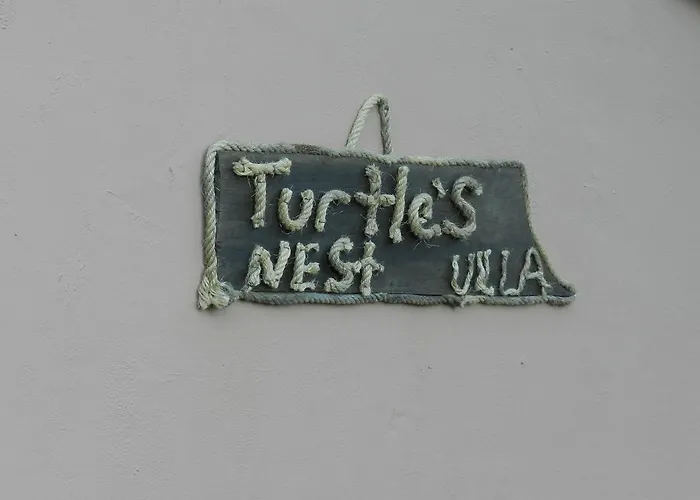 Turtle's Nest Vasilikí