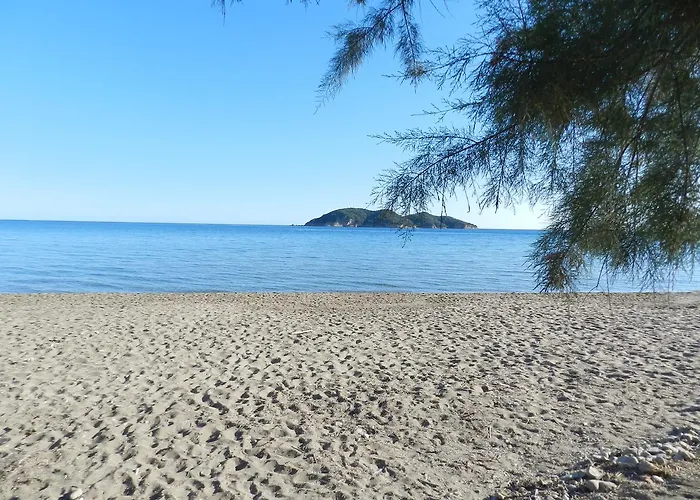Turtle's Nest בית הארחה Vasilikí