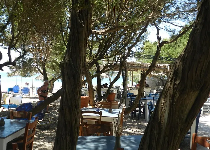 Turtle's Nest 3*